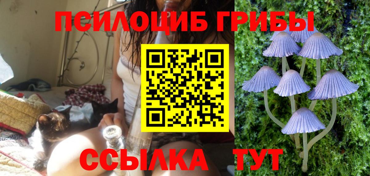 Codein Калуга